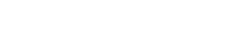 MEGA KIM